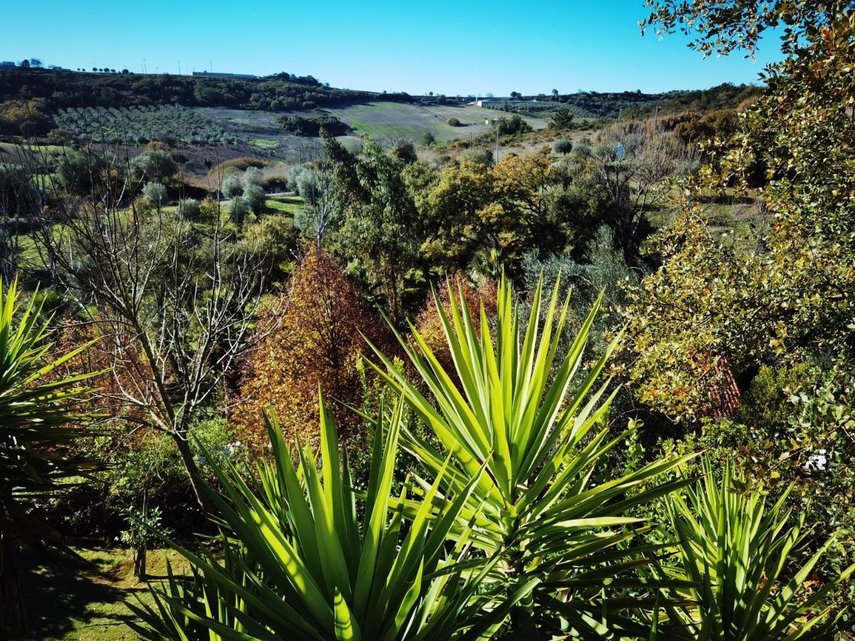 Quinta Do Vale Encantado "The Valley" - Santarem - Portugal Calhariz Екстер'єр фото