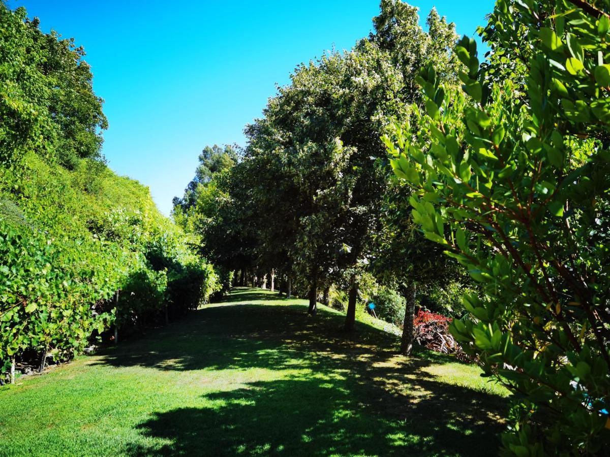 Quinta Do Vale Encantado "The Valley" - Santarem - Portugal Calhariz Екстер'єр фото